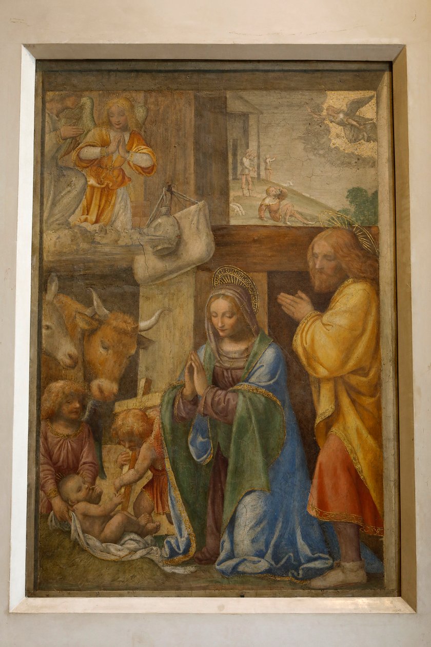 Hyrdernes fødsel og tilbedelse, ca. 1520-1525 (olie på panel) af Bernardino Luini