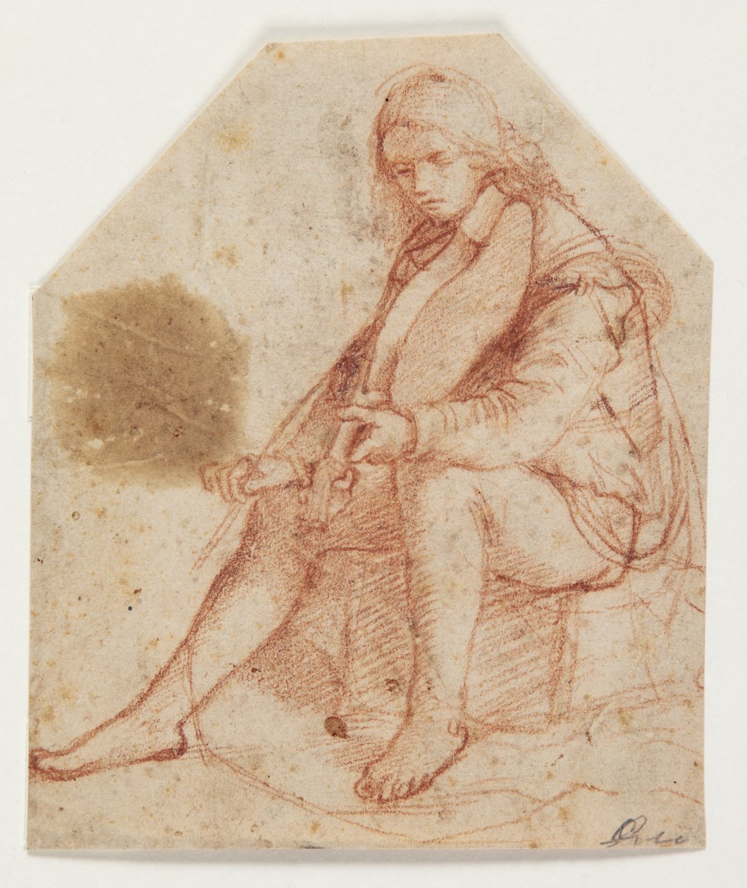 Siddende yngling med viola af Bernardino Luini