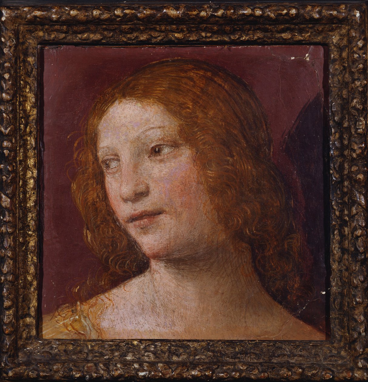 Hovedet af en engel - et fragment af Bernardino Luini