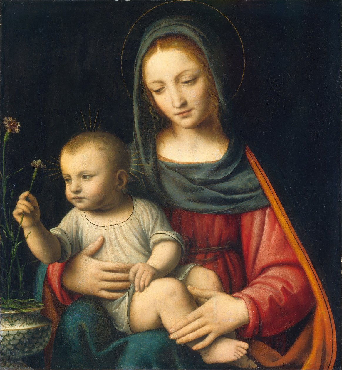 Nellikens Madonna af Bernardino Luini