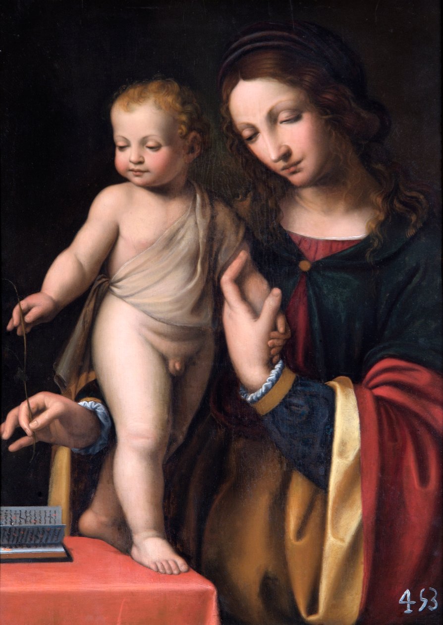 Jomfruen med det stående barn (olie på poppelpanel) af Bernardino Luini