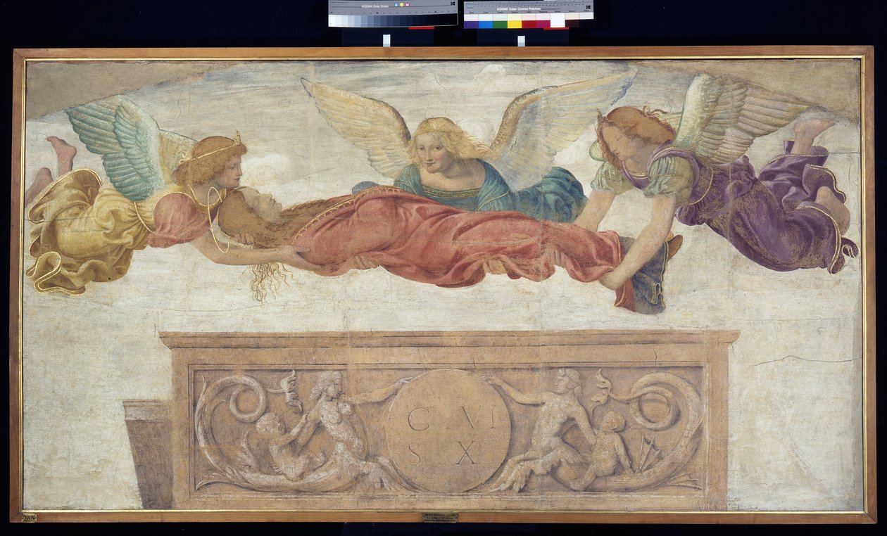 Liget af St. Catherine båret af engle, ca. 1514 (fritliggende fresko båret om bord) af Bernardino Luini