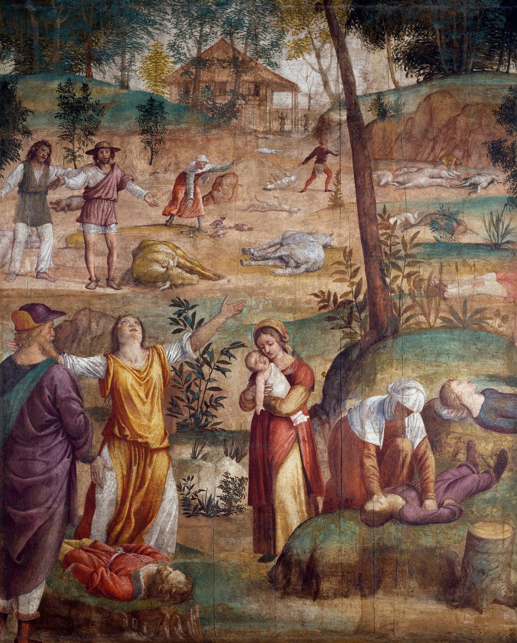 Den førstefødtes død, af Bernardino Luini (ca 1480-ca 1532), fresko overført på træ, 211x169 cm. af Bernardino Luini