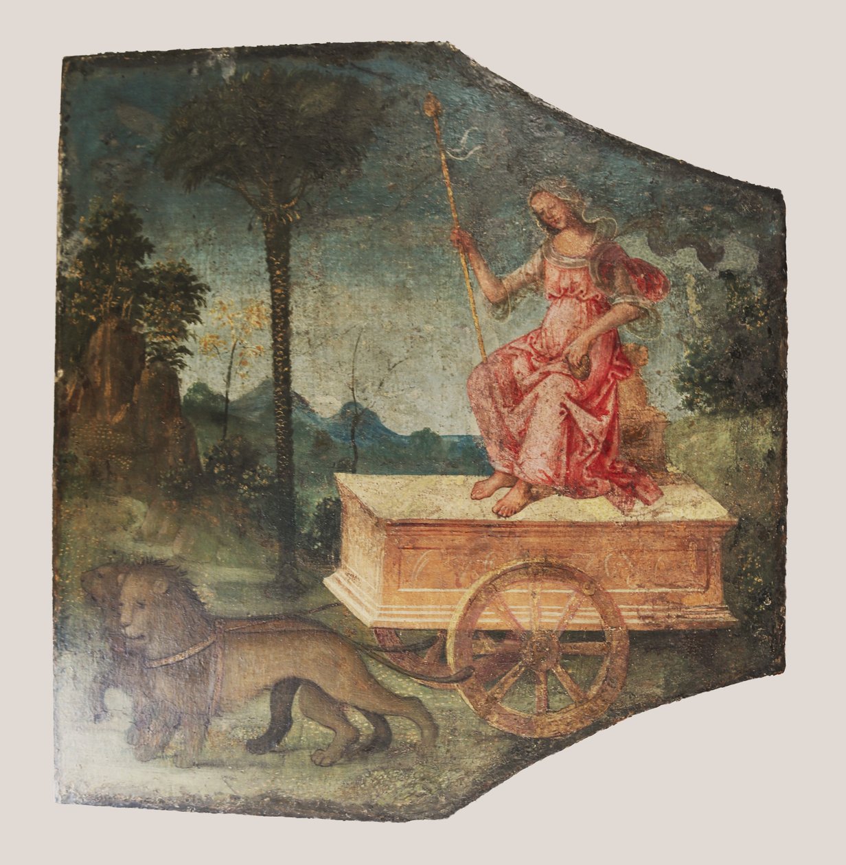 Triumf af Cybele, ca. 1509. af Bernardino Pinturicchio