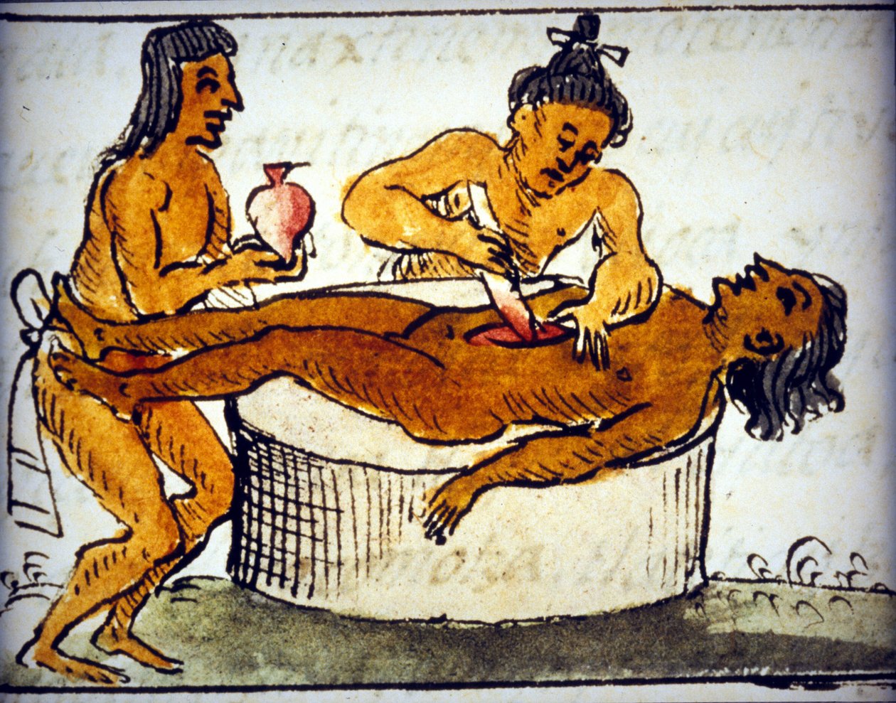 Human ofre: Rituel offer blandt aztekerne. Fra et manuskript af Bernardino de Sahagun af Bernardino de Sahagun