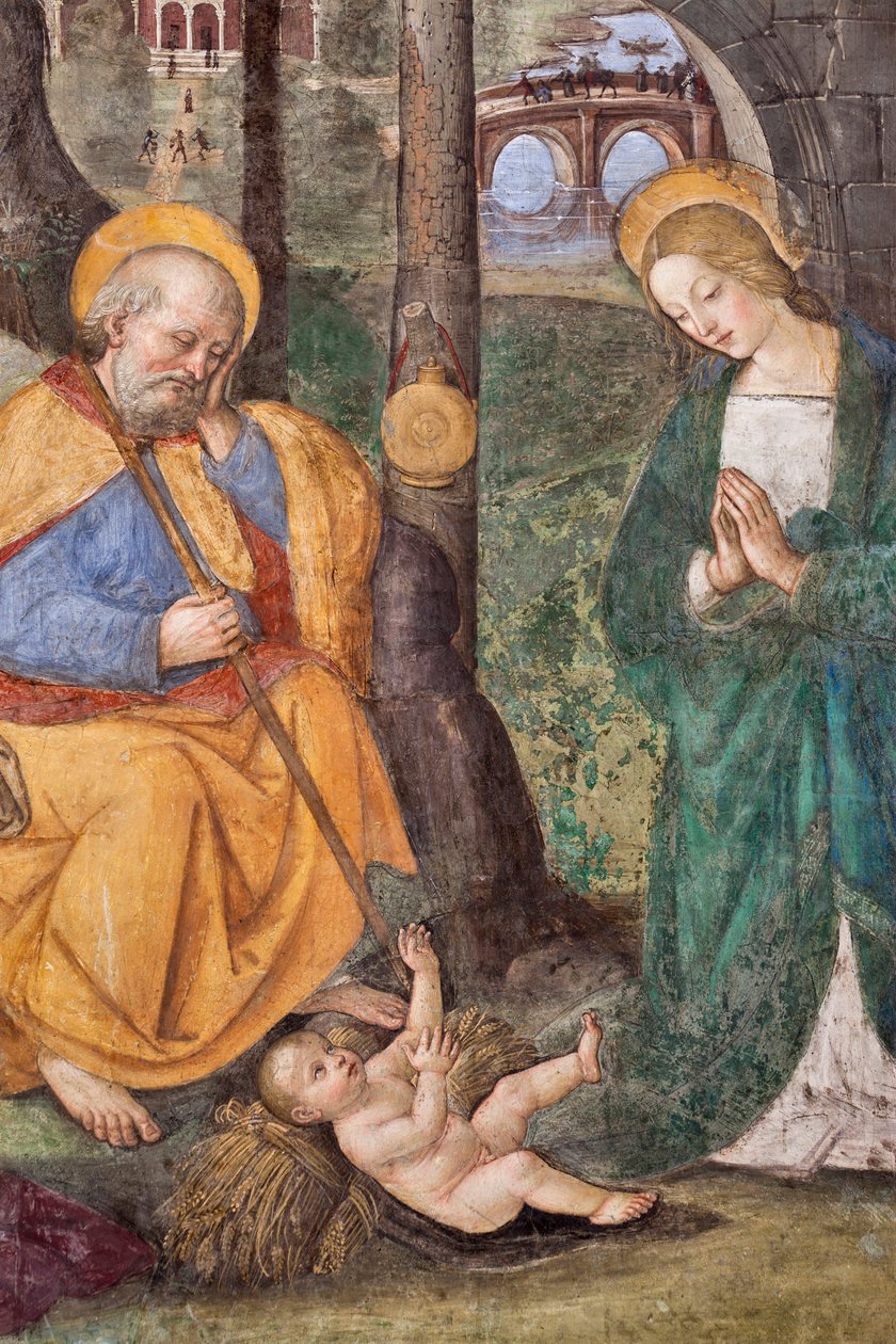 Tilbedelse af hyrderne (tilbedelse af hyrderne) Detail Fresco af Pinturicchio (Bernardino di Betto) (1454-1513) 1484-1492 (Kirken Santa Maria del Popolo), Basilikaen Santa Maria del Popolo, Cappella Basso della Rovere Rom Italien af Bernardino di Betto Pinturicchio