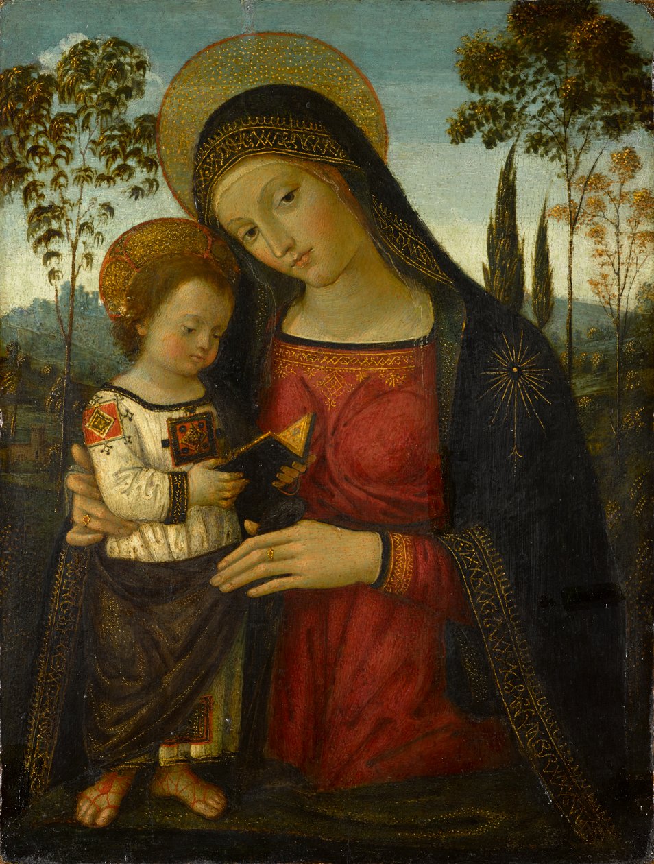Madonna og barn, omkring 1490-1495 (tempera på panel) af Bernardino di Betto Pinturicchio