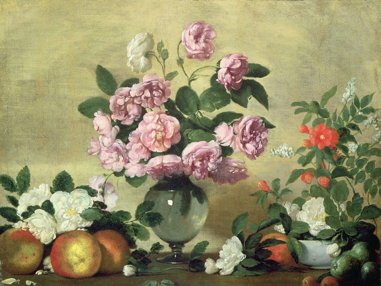 Blomster og Frugt af Bernardo Strozzi