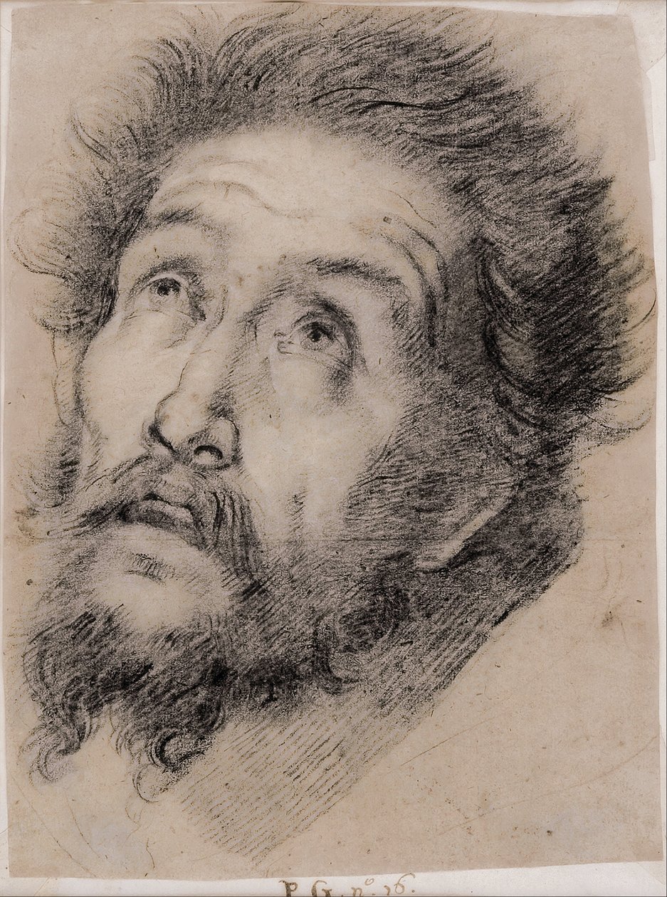Undersøgelse af Frans af Assisi, der tilbeder korset af Bernardo Strozzi