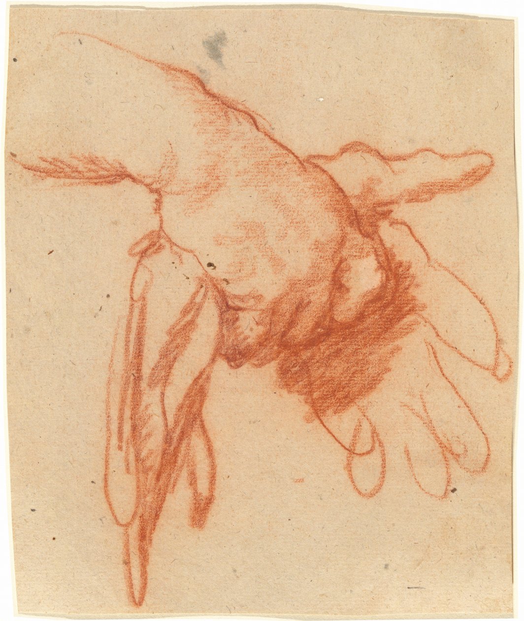 En hånd der holder tomme handsker af Bernardo Strozzi