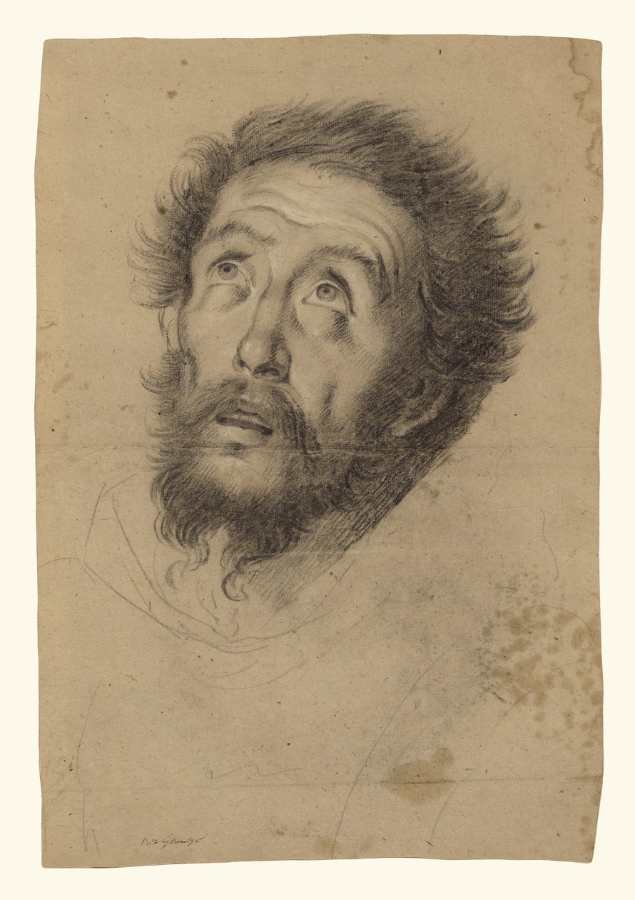 Hoved af Sankt Frans (recto); Studier af hovedet af Sankt Frans, hovedet af en gammel mand og to højre hænder (verso) af Bernardo Strozzi