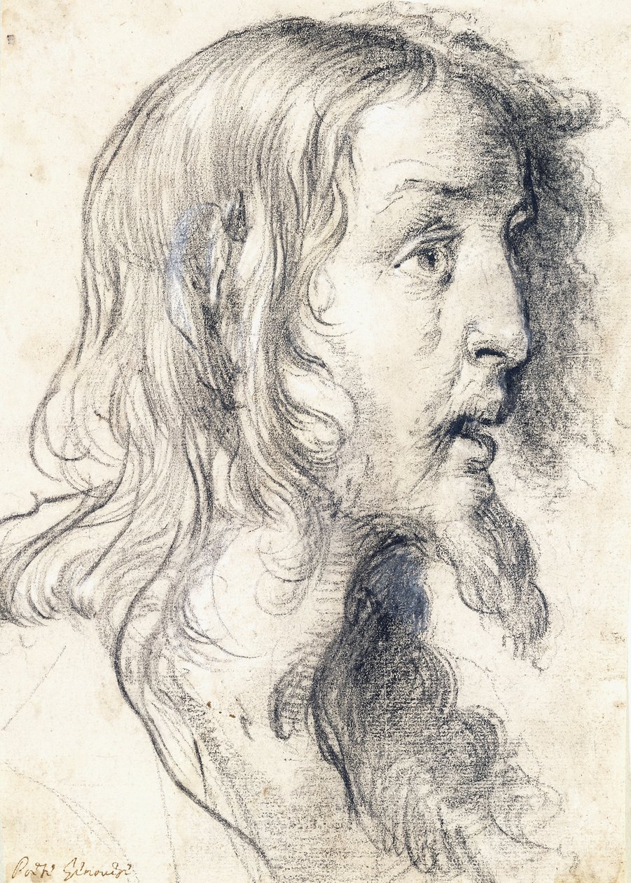 Kristi hoved i profil til højre, af Bernardo Strozzi