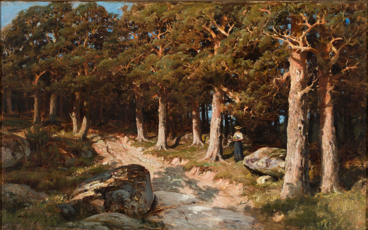 Kvinden i skoven af Berndt Lindholm