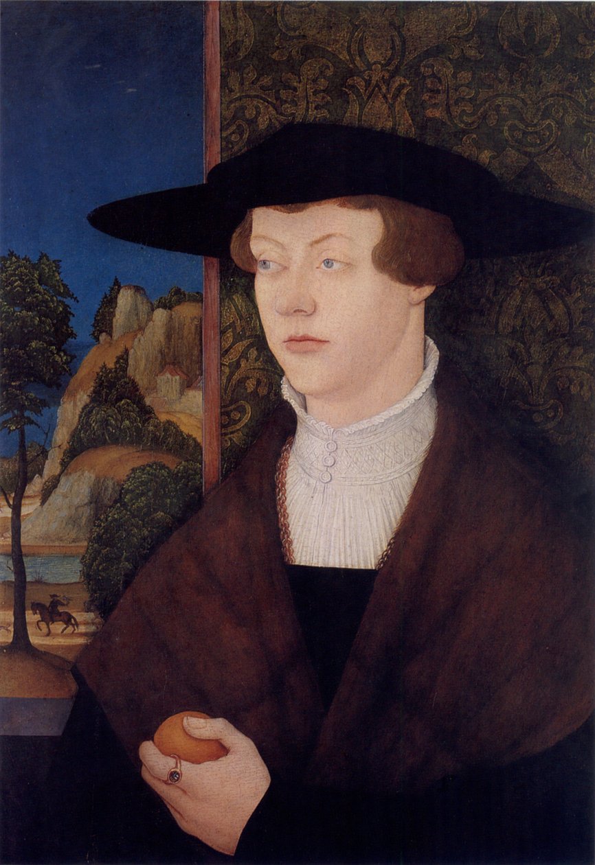 Portræt af Memmingen -patricien Hans Rott af Bernhard Strigel