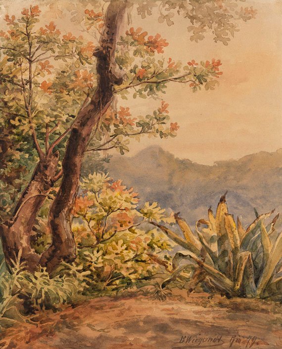 Brasiliansk landskab med agave af Bernhard Wiegandt