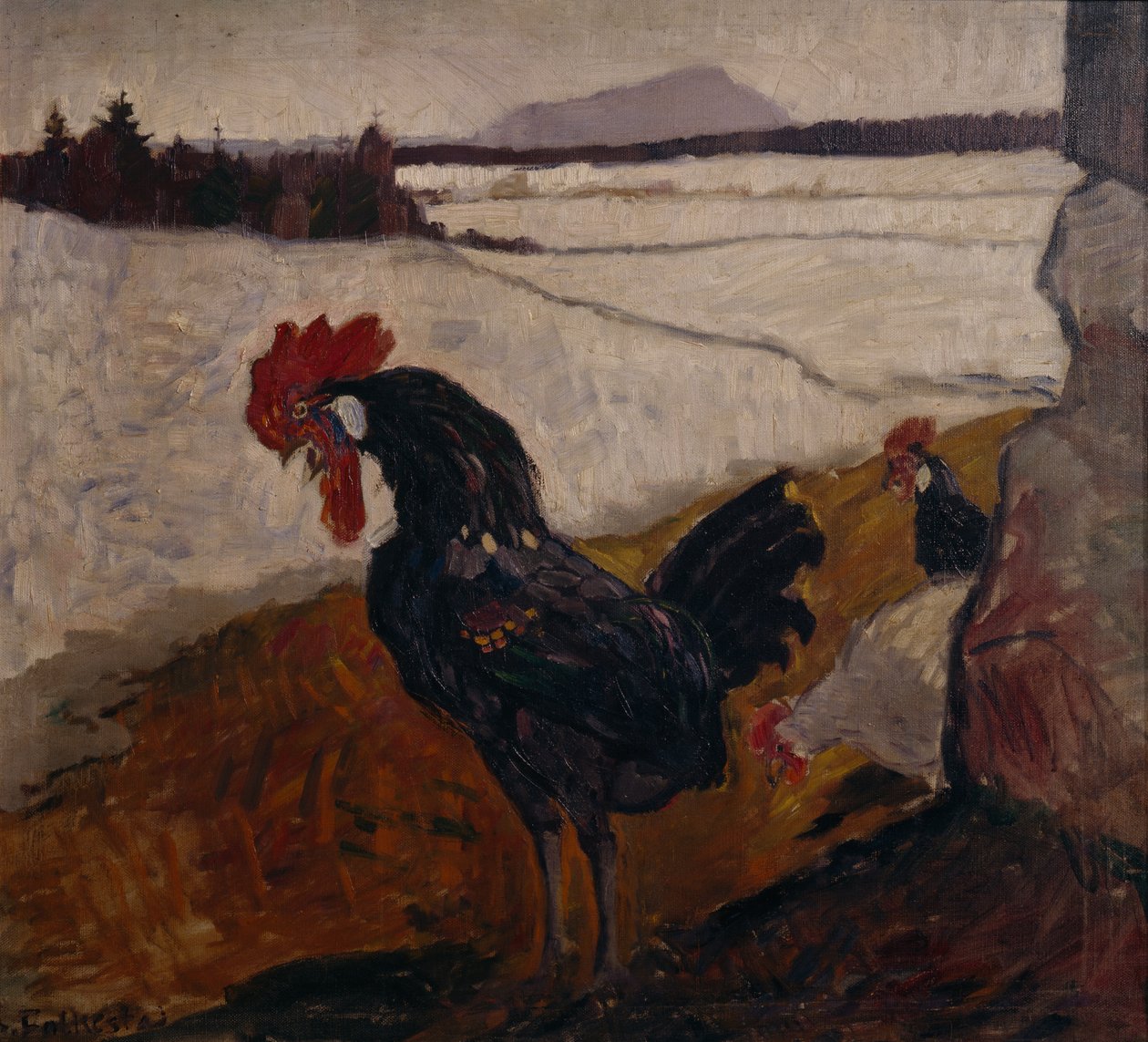 Hane af Bernhard Dorotheus Folkestad