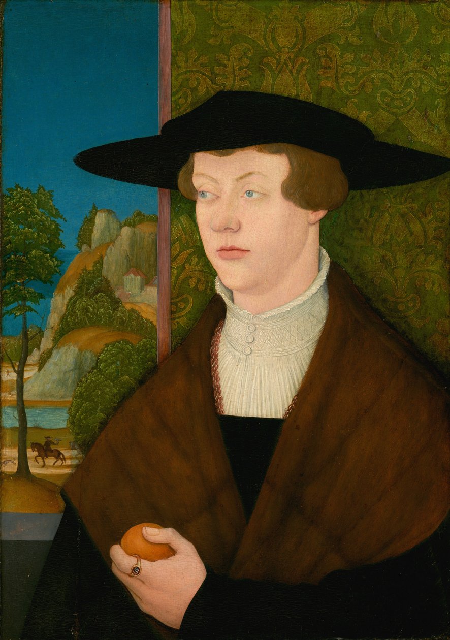Hans Roth [forside] af Bernhard Strigel