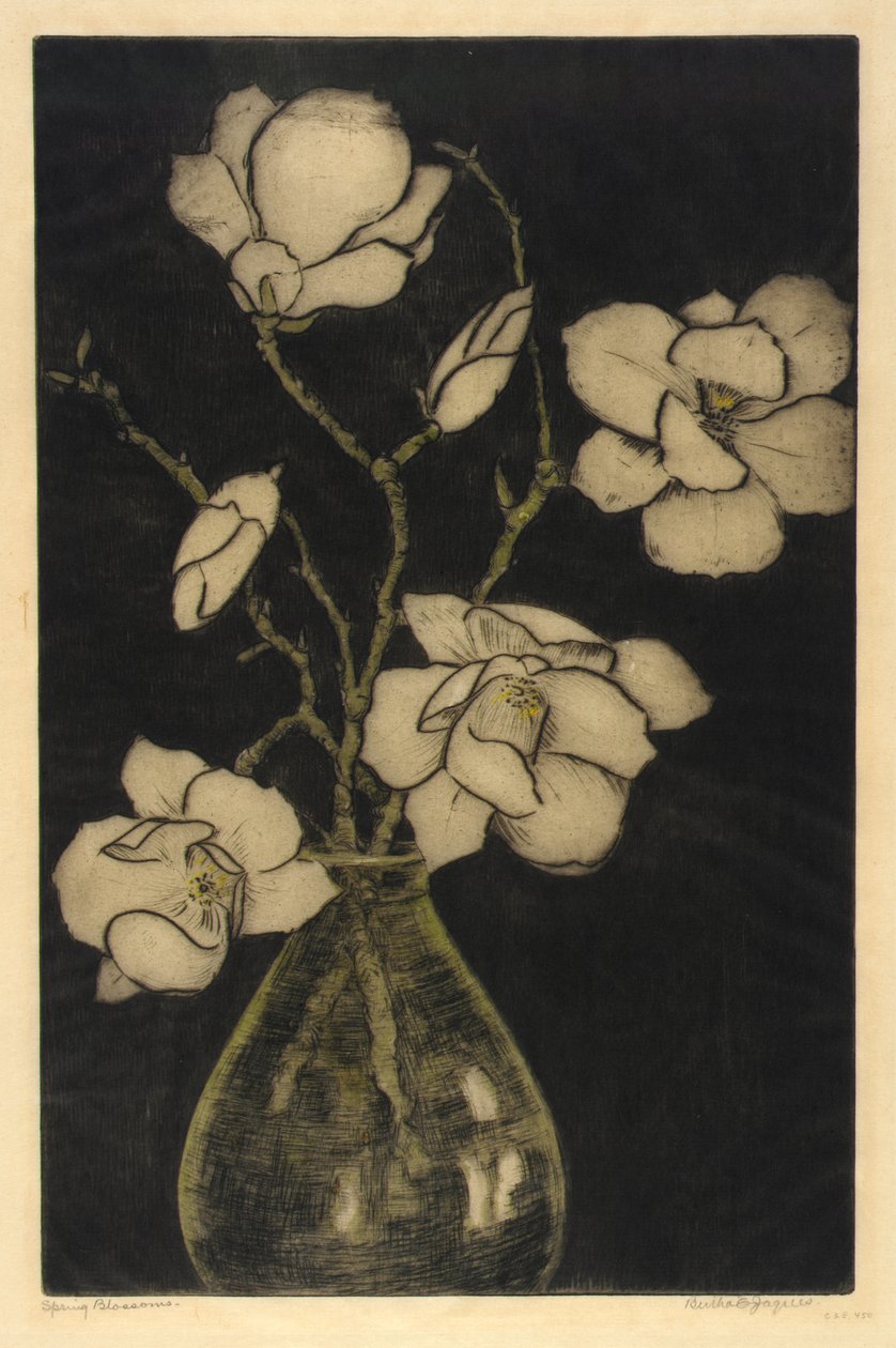 Forårsblomster (træmagnolia) af Bertha E. Jaques
