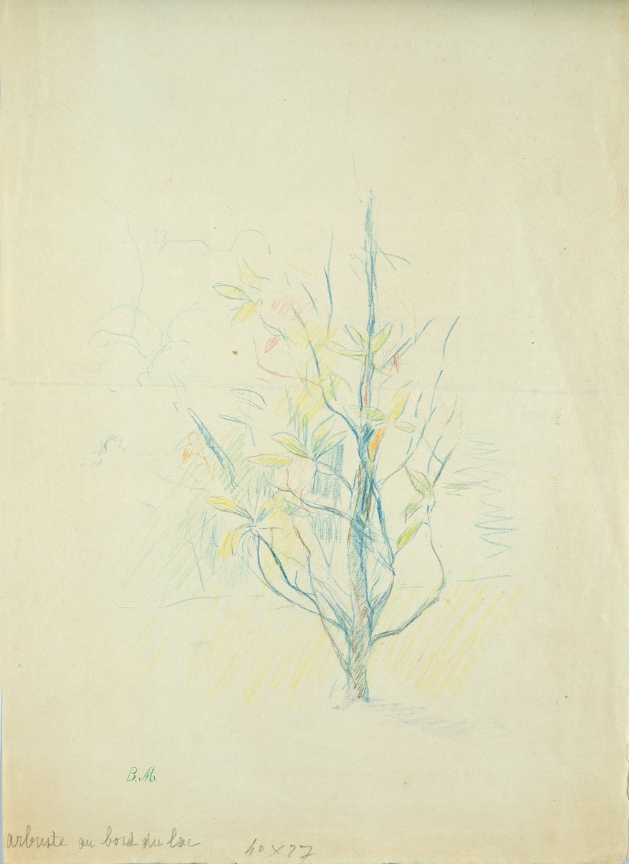 Buske ved søen, 1893 (farvet blyant på papir) af Berthe Morisot