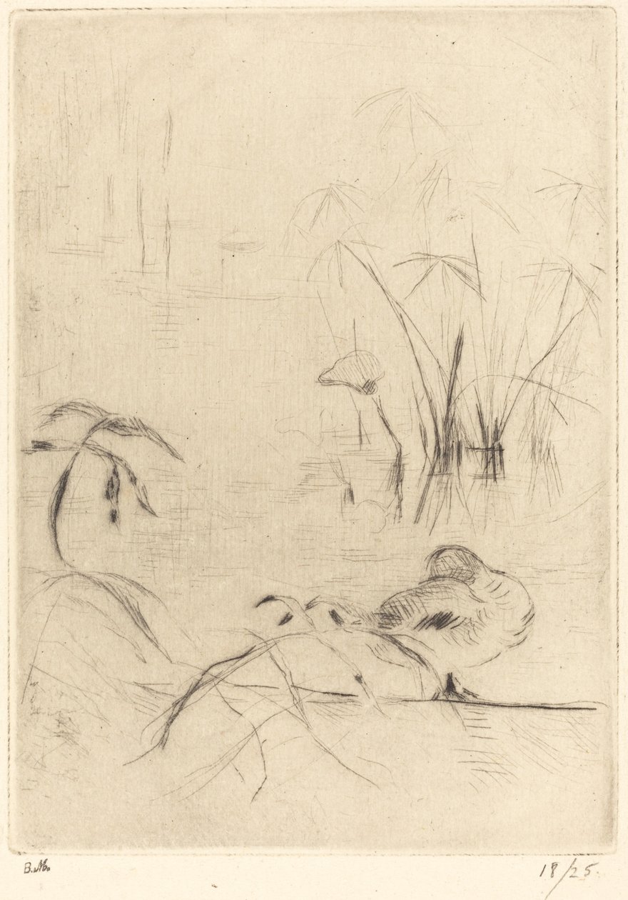 Ænder i hvile på bredden, 18881890. af Berthe Morisot