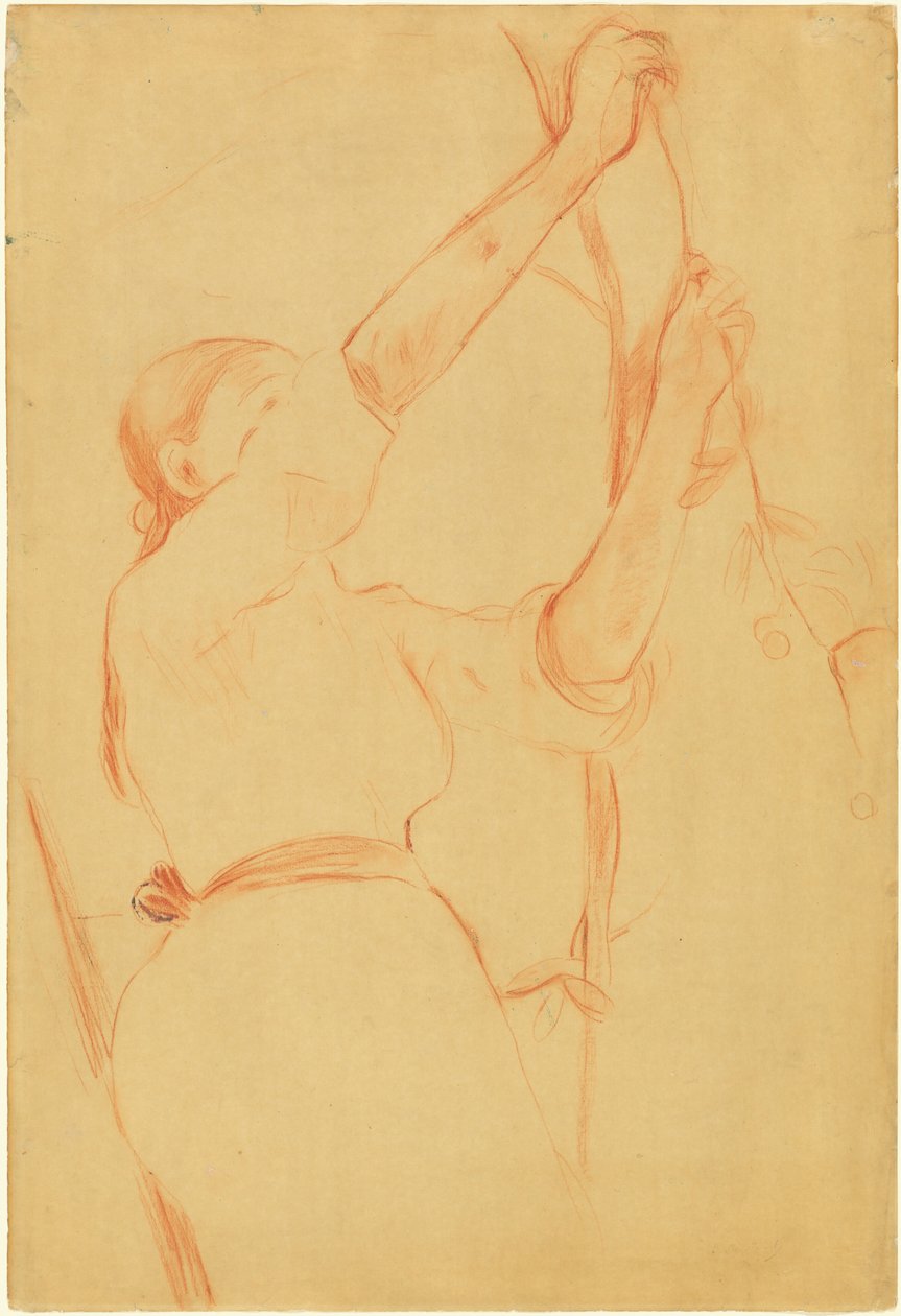 Mädchen beim Kirschenpflücken af Berthe Morisot