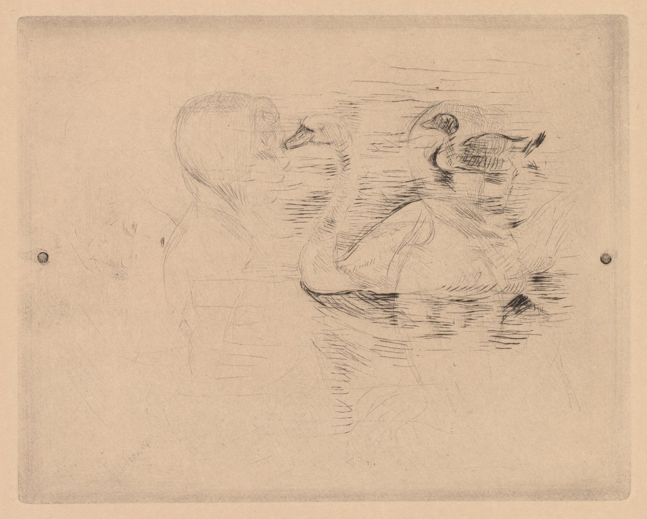 Svane og And, med portrætter af Julie af Berthe Morisot