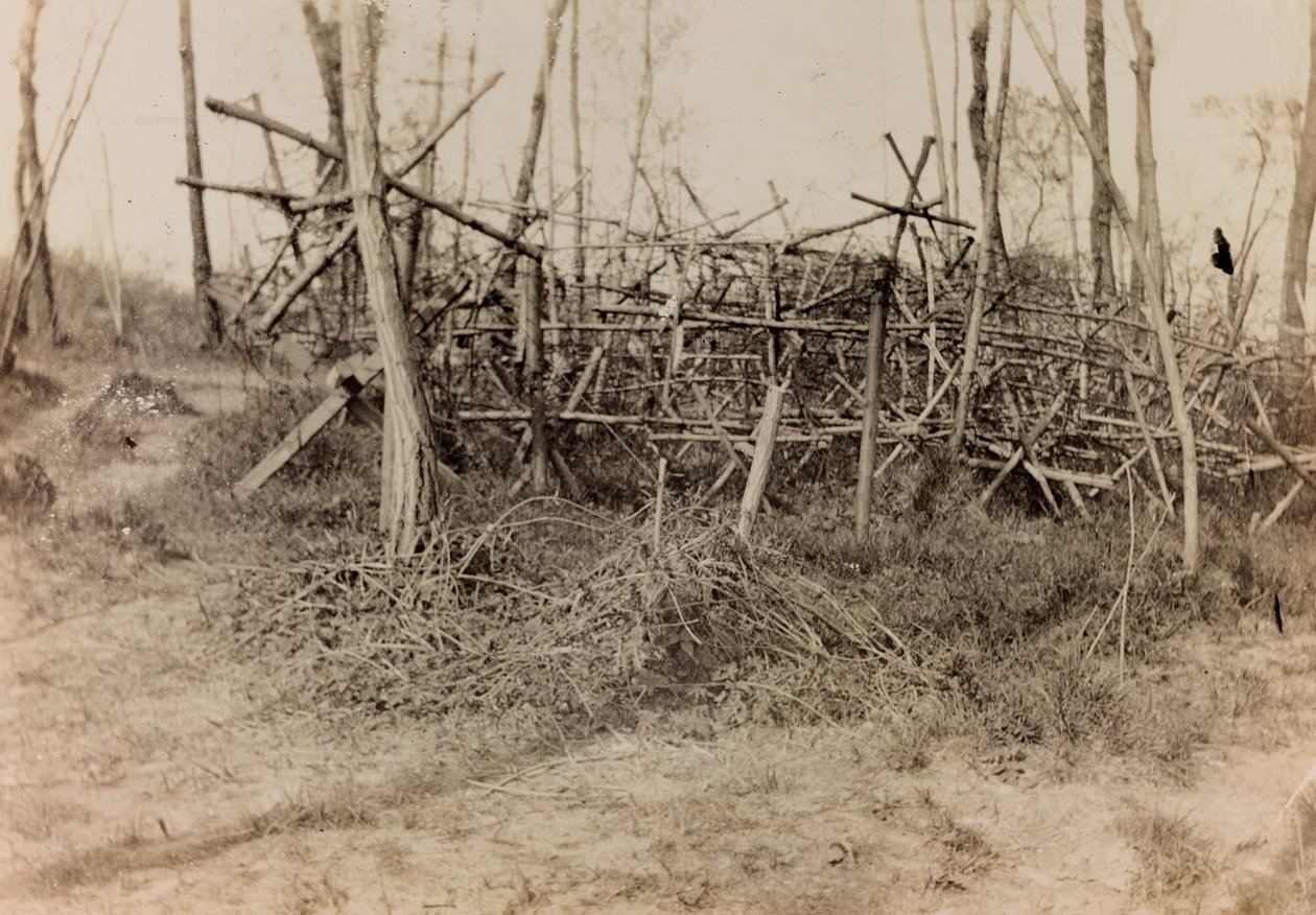 Album af Første Verdenskrig i Friuli-Venezia Giulia: defensiv hindring (frisiske heste), 05/1916 (s/h foto) af Bertoni Bertoni