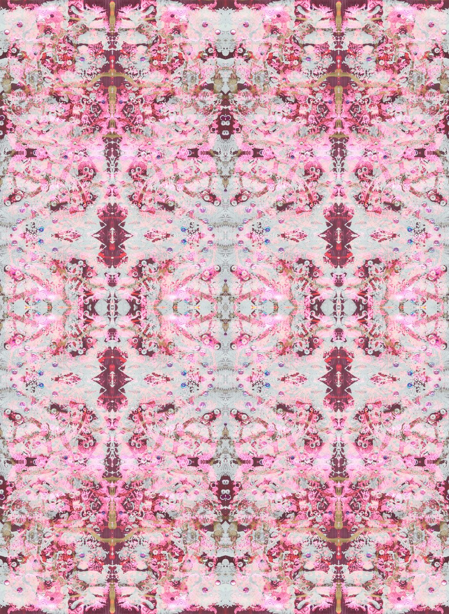 Burgandy Rose, 2015 (blandede medier, illustration, digital) af Beth Travers