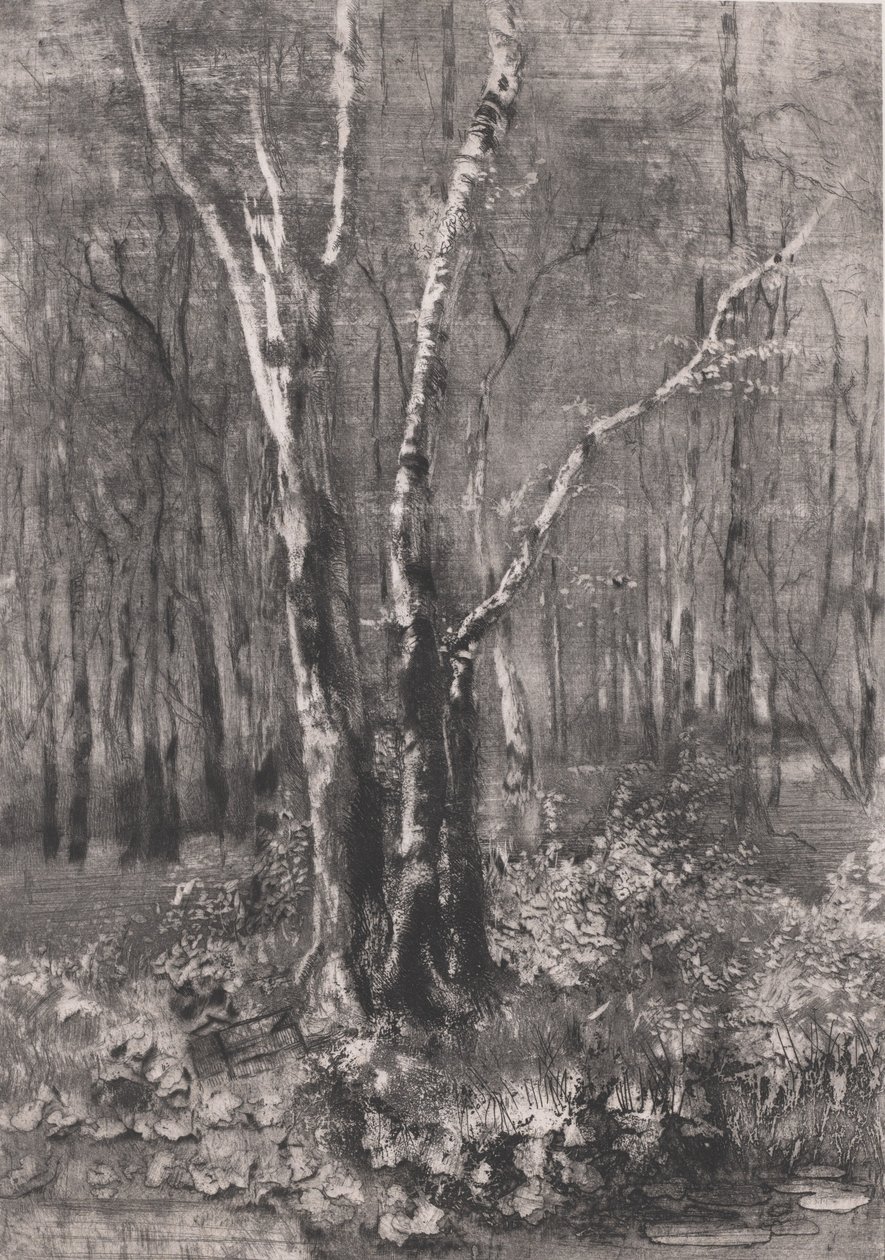 Skove i parken nær Monza, 1895. af Bianchi Mose