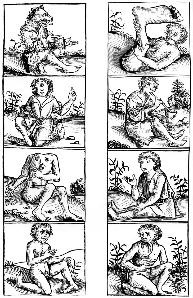 Tro og populær overtro, 1493 1849. af Bisson and Cottard