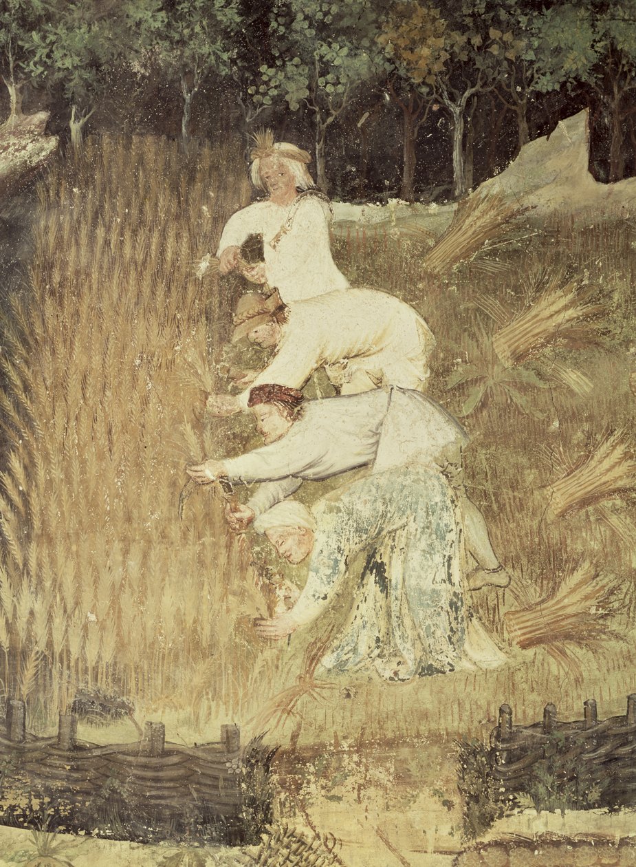 August måned, detalje af høsten, ca. 1400 af Bohemian School