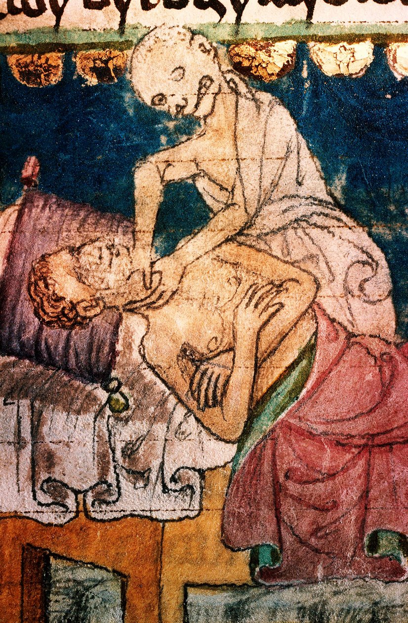 a mort etranglant un pestifere - Death Stranling a Victim of the Pest - Miniature extraite du codex Stini, Boheme af Bohemian School