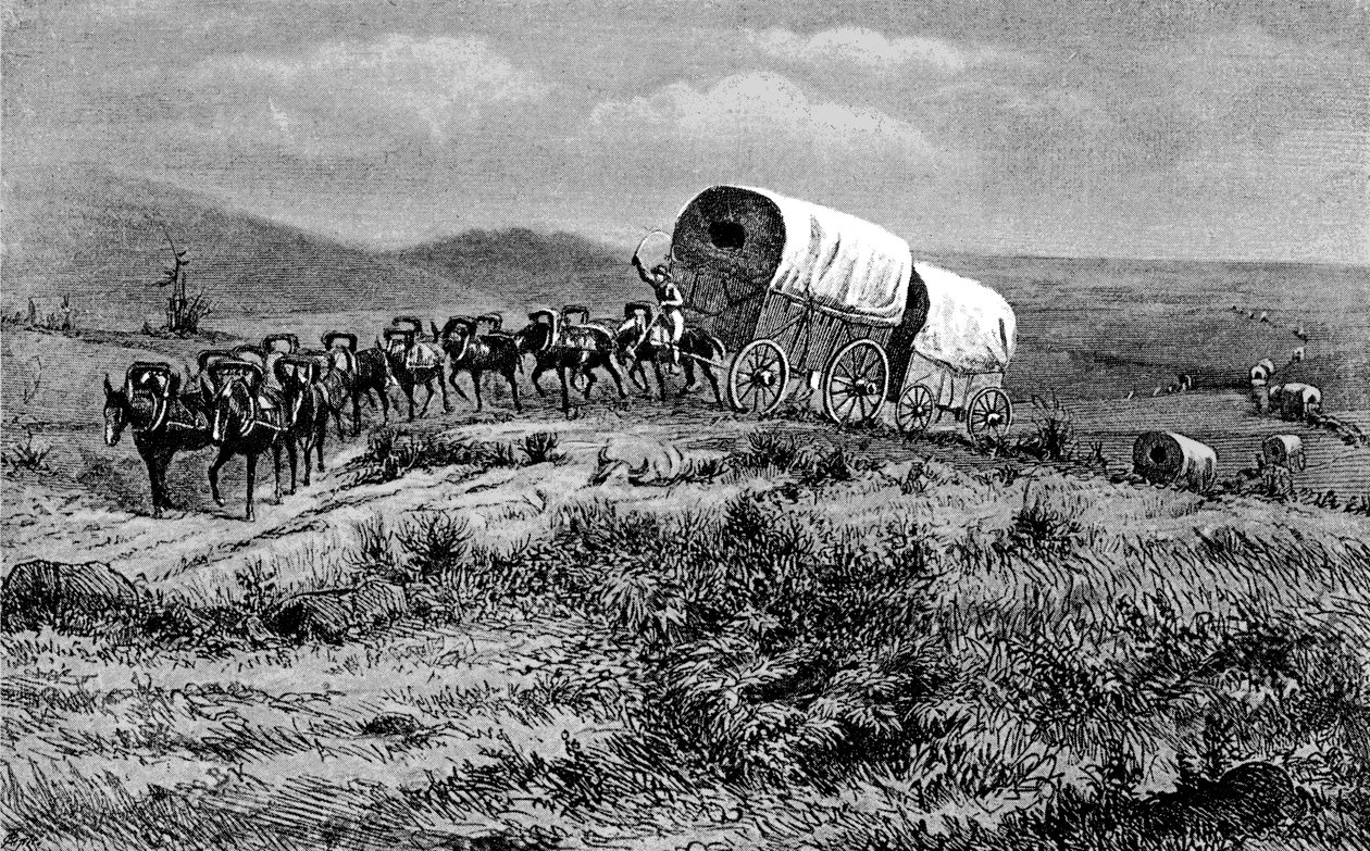Wild West - muldyrtog på vej mod vest af Bohuslav Kroupa