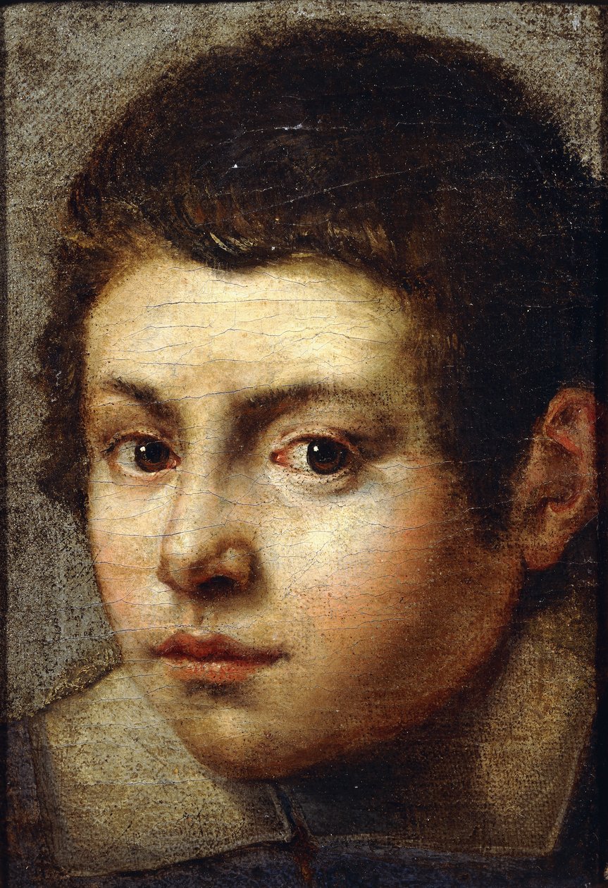 Hovedet af en ung dreng, af Bolognese School