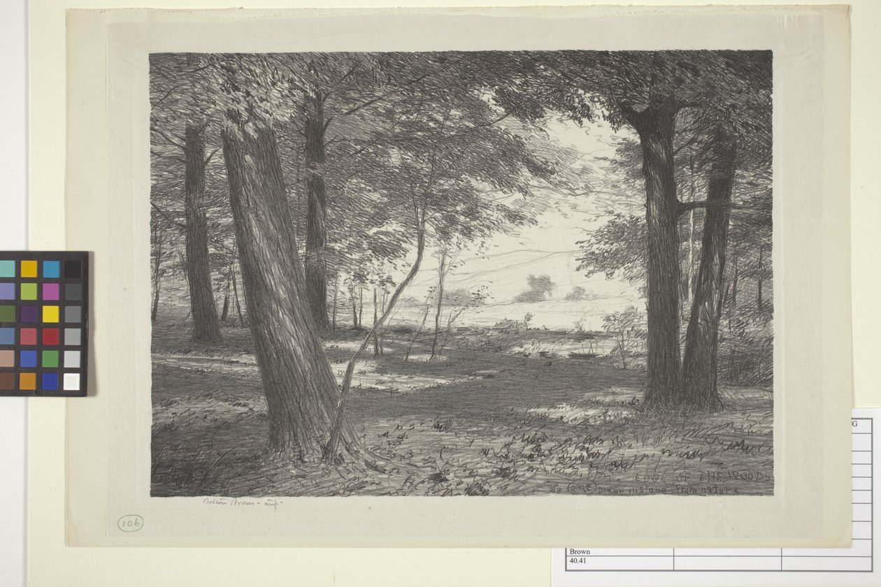 Edge Of The Woods (blæk på papir) af Bolton Coit Brown