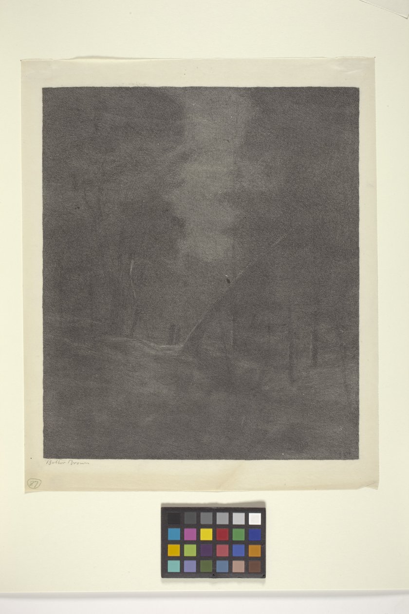 Moonlight Woods (blæk på papir) af Bolton Coit Brown