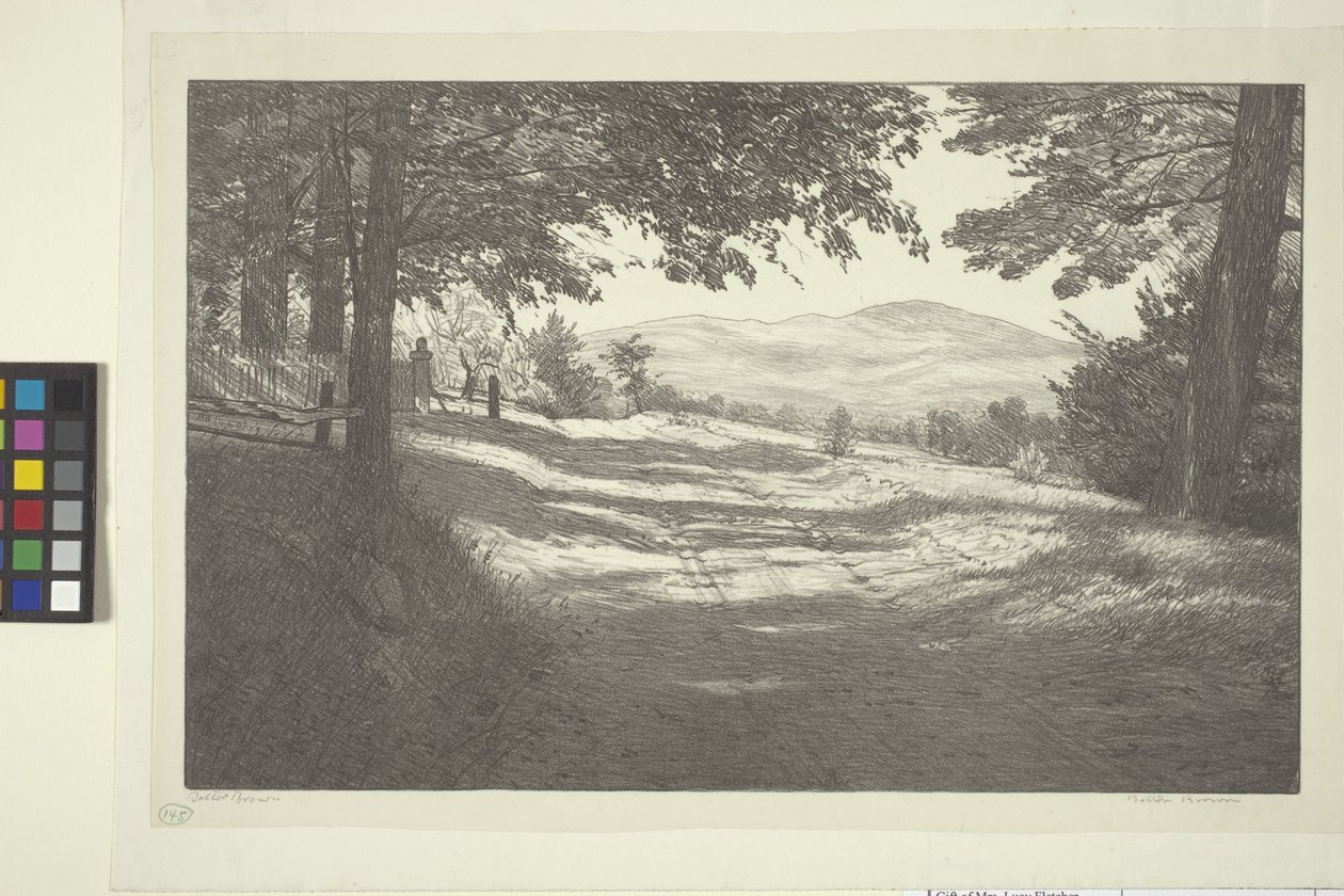 North View (blæk på papir) af Bolton Coit Brown