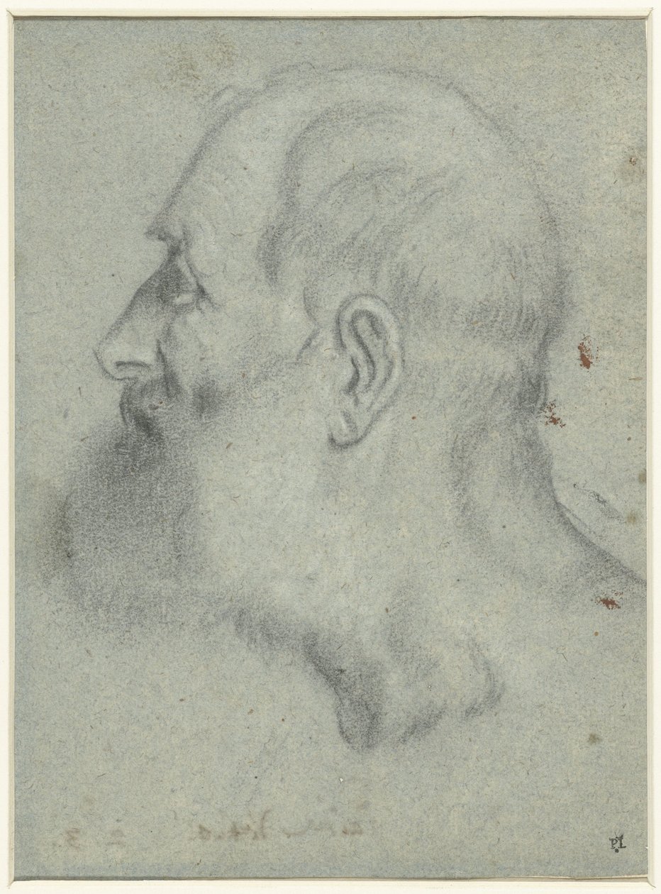 Hoved af skægget mand, i profil til venstre af Bonifazio Veronese (attributed to)