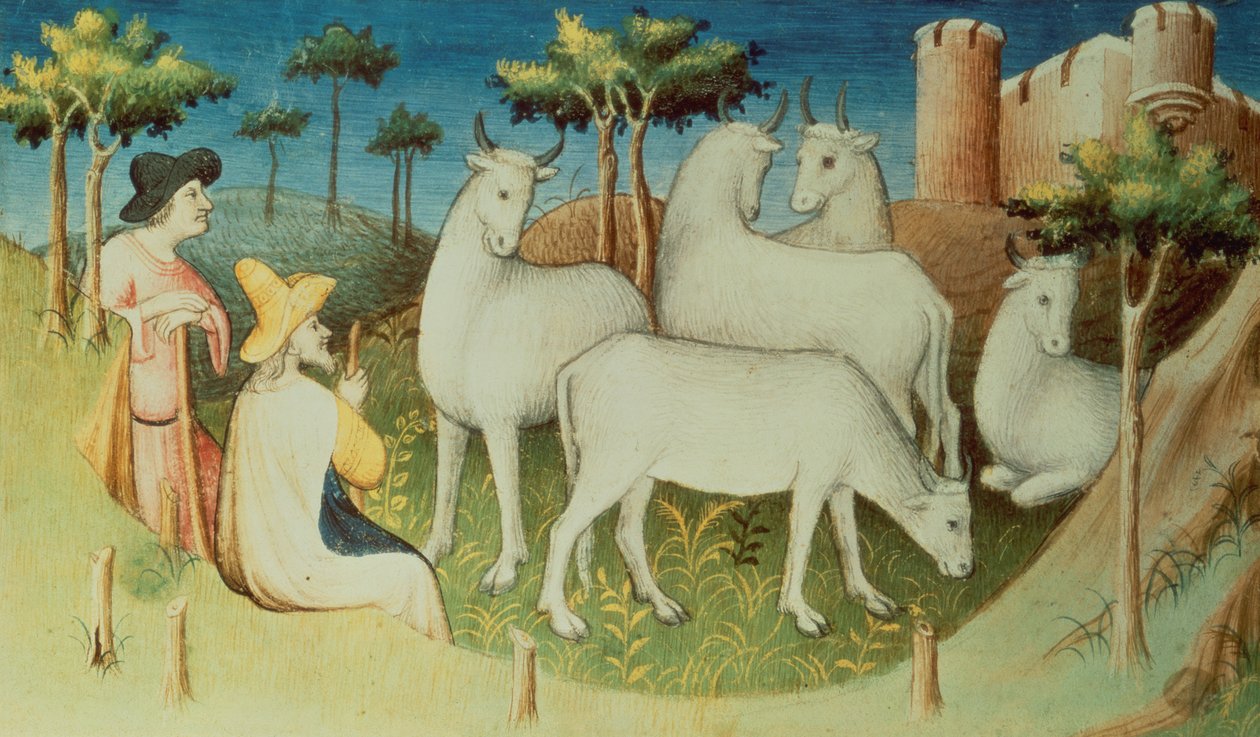 Fr 2810 f.13v, Marco Polo på sine rejser, fra 