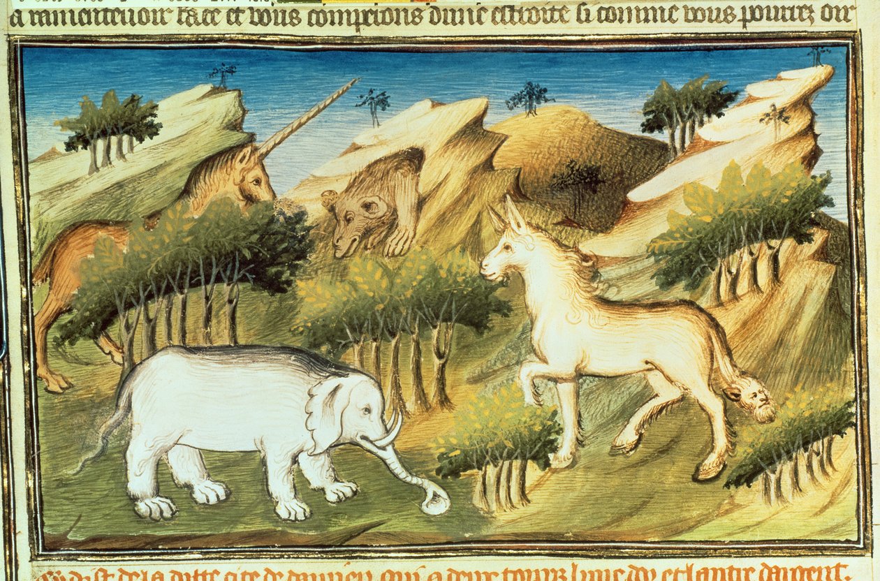 Fr 2810 f.59v, Mytiske dyr i ørkenen, fra 