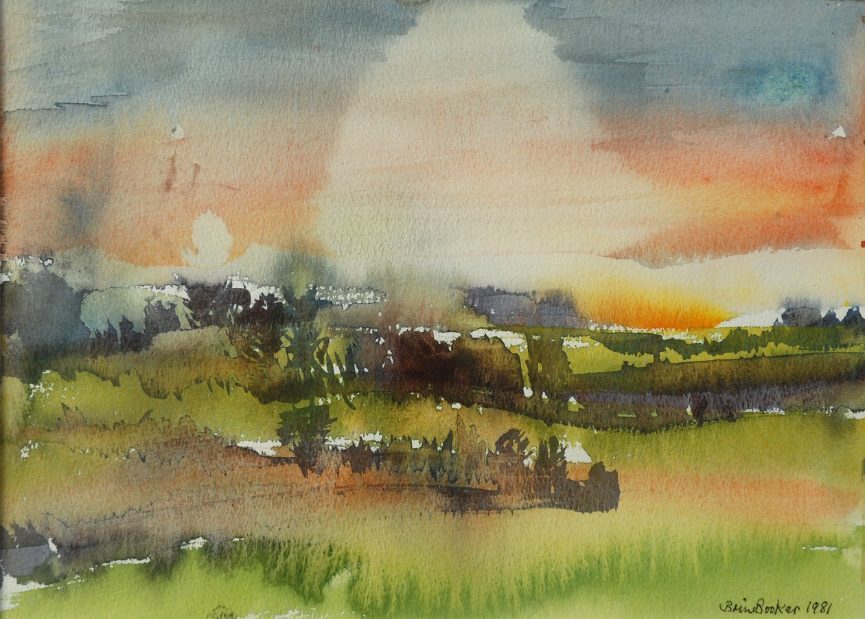 After Rain, 1981 (wc på papir) af Brenda Brin Booker