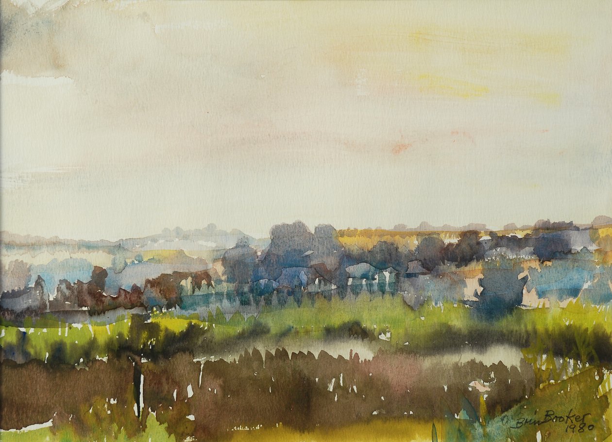 River through the Meadow, 1980 (wc på papir) af Brenda Brin Booker
