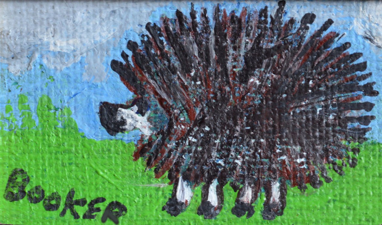Hedgehog (akryl på hardboard) af Brenda Brin Booker