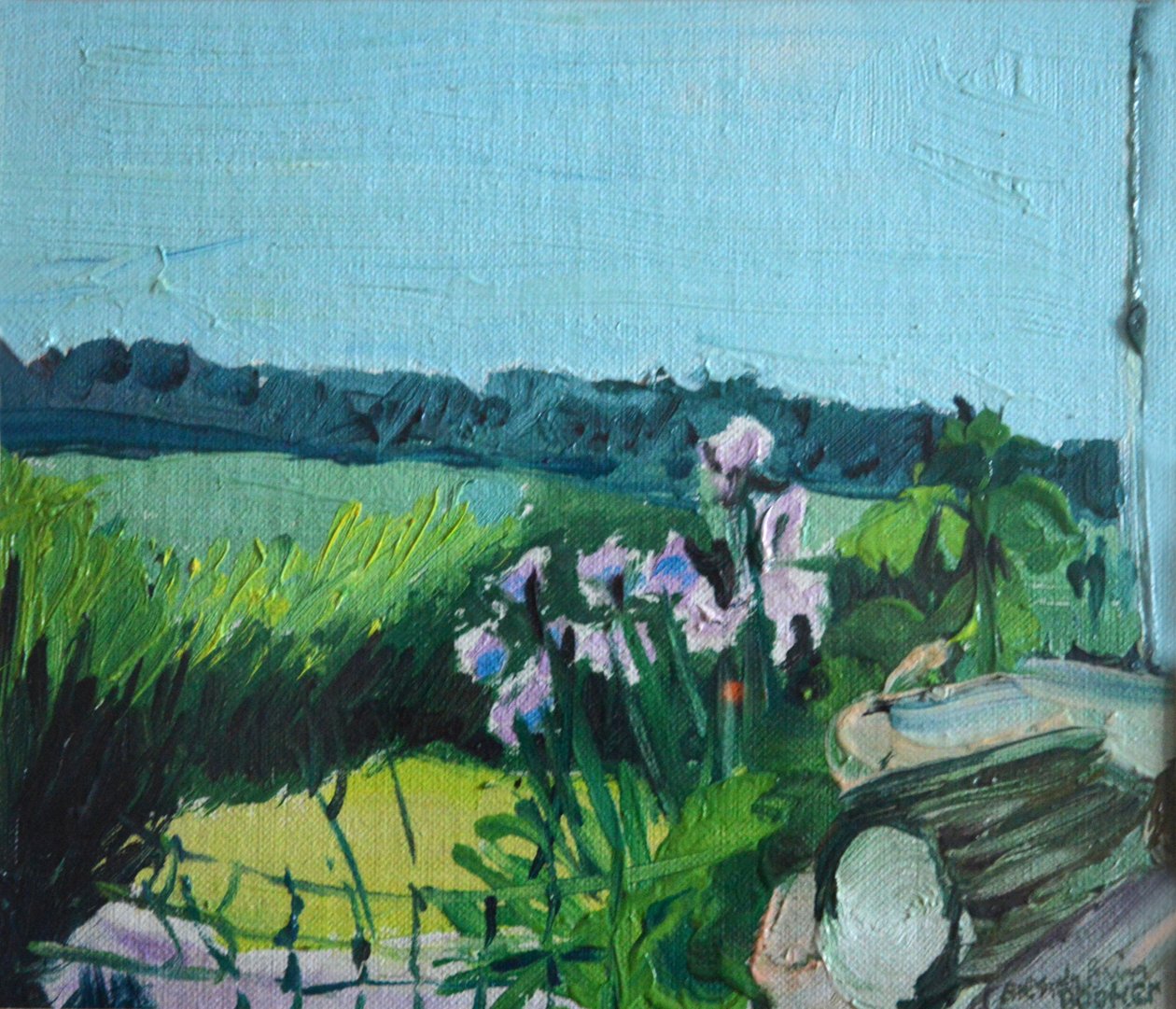 Iris i haven af Brenda Brin Booker