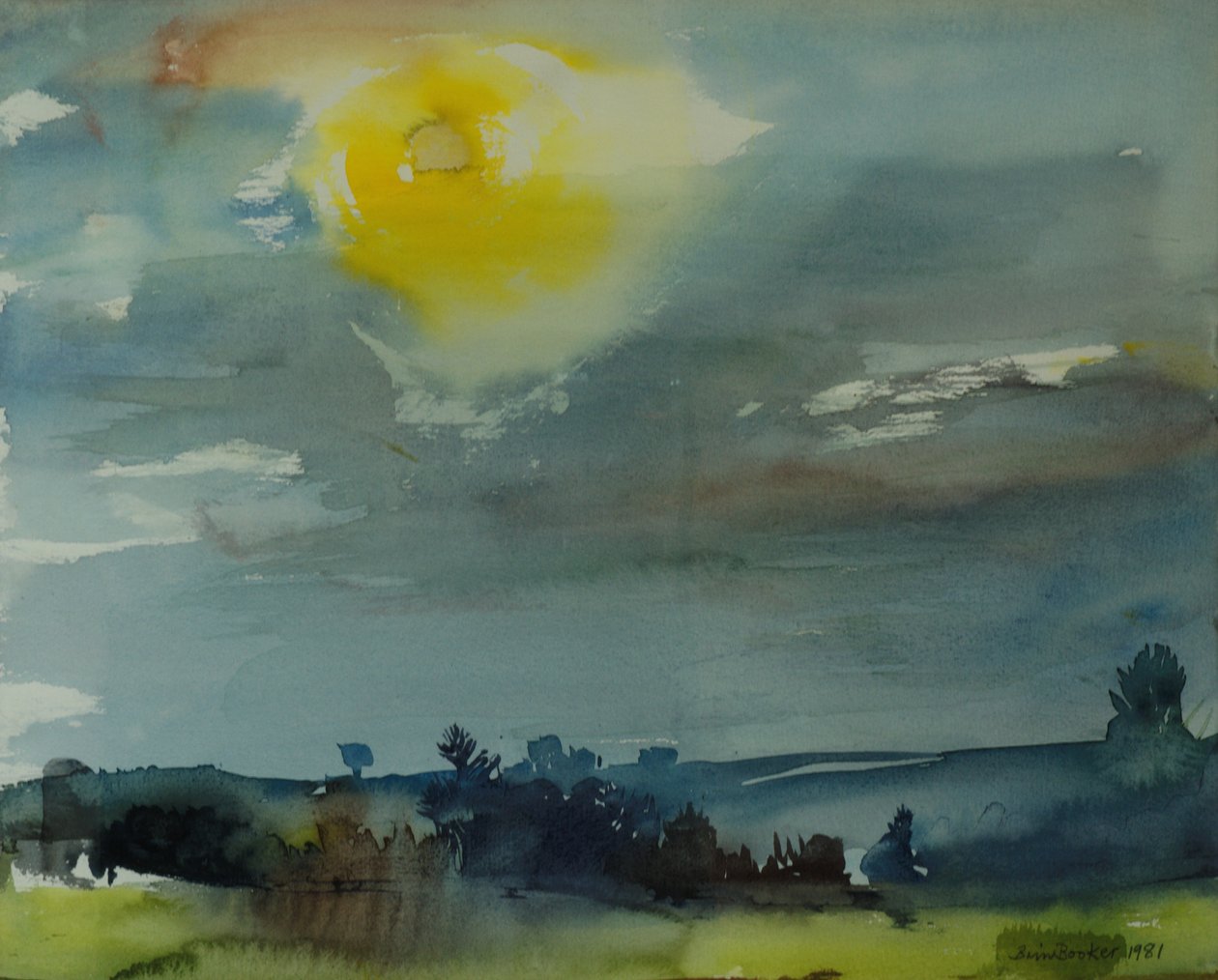 Rain in the Air, 1981 (wc på papir) af Brenda Brin Booker