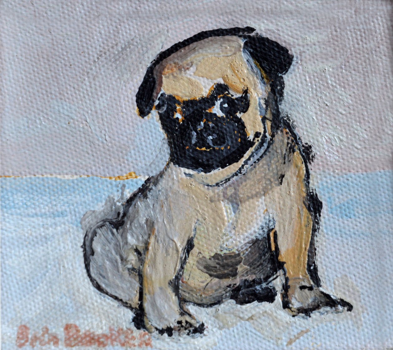 Vincent, mops-hvalpen af Brenda Brin Booker