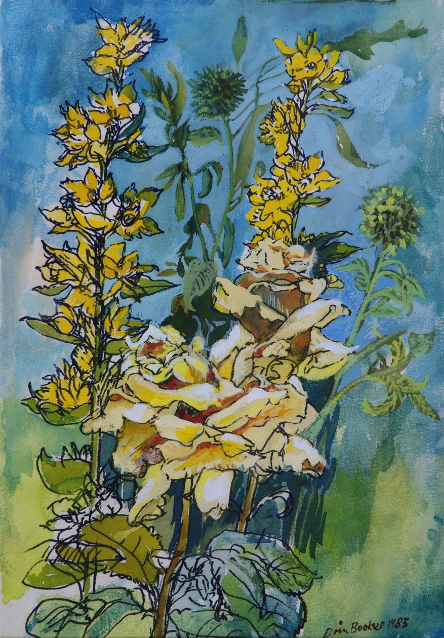 Yellow Rose and Loosestrife, 1983 (pen & blæk med wc på papir) af Brenda Brin Booker