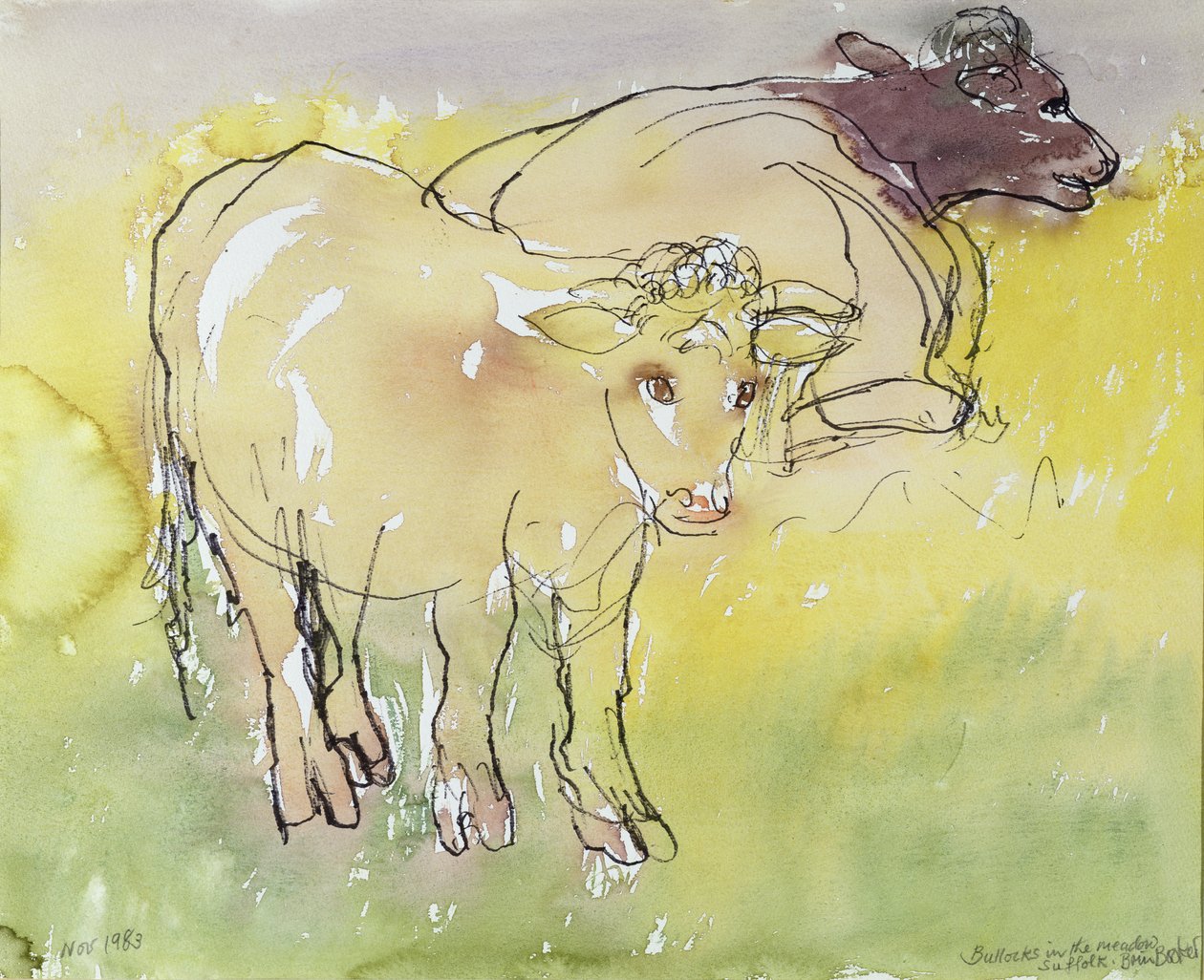 Young Bullocks in the Meadow, 1983 (pen & blæk med wc på papir) af Brenda Brin Booker
