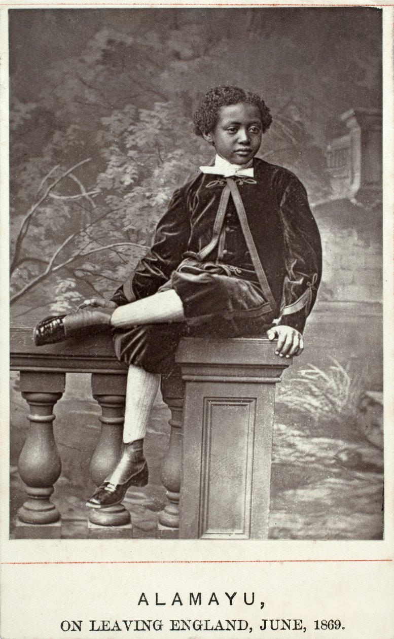 Alamayu, England, 1869 (albumin print) af British Photographer
