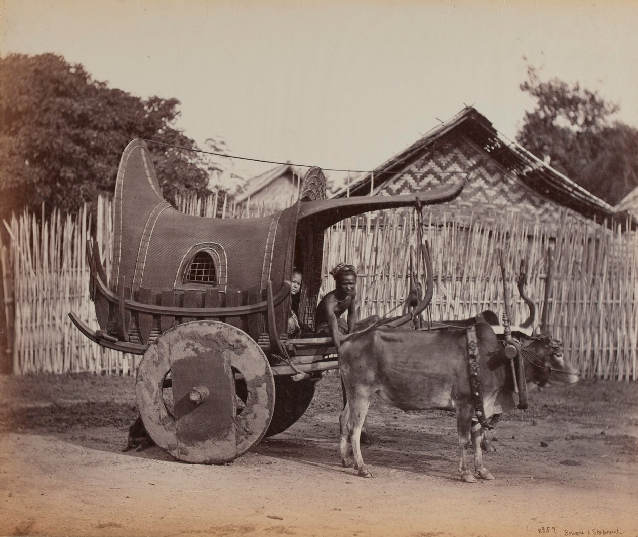 Country Cart, Burma (1886-88) af British Photographer